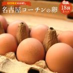 【初回限定 お試し】名古屋コーチン卵お試しセット【6個入り × 3パック(合計18個)】食品 卵 鶏卵 高級卵 玉子 たまご ご家庭卵 普段使い用 送料無料 お試し