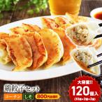 ショッピング餃子 鶏餃子 ニ種を1度に食べ比べ！ 名古屋コーチン餃子 【30個入り2袋】 しそ餃子【30個入り2袋】 餃子 しそ 冷凍餃子 生餃子 国産 鶏肉 送料無料