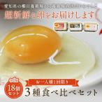 卵 お試し たまご 養鶏場直送 おひとり様1回限り 三種食べ比べお試しセット 合計18個入り（名古屋コーチンの卵6個＋くしたま赤卵6個＋くしたま白卵6個）