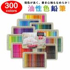 【300色セット】色鉛筆 300色セット 油性色鉛筆 プロ専用 ソフト芯色鉛筆セット 収納ケース付き 油性色鉛筆セット 子供から大人の塗り絵