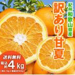 ショッピングデコポン 甘夏 4kg（箱込約4kg）和歌山県産 訳あり・ご家庭用 / あまなつ 送料無料（東北・北海道・沖縄県除く）（配達日指定不可）