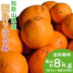 はるみ 8kg(箱込約8kg)和歌山県産 訳あり・ご家庭用 / デコポンの兄弟品種 / はるみみかん 送料無料(東北・北海道・沖縄県除く)(配達日指定不可)