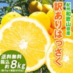 はっさく 8kg（箱込約8kg）和歌山県産 訳あり・ご家庭用 / 八朔 送料無料（東北・北海道・沖縄県除く）（配達日指定不可）