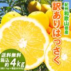 ショッピング文旦 はっさく 4kg（箱込約4kg）和歌山県産 訳あり・ご家庭用 / 八朔 送料無料（東北・北海道・沖縄県除く）（配達日指定不可）