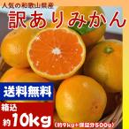 みかん 10kg(箱込約10kg 9kg+保証分500g) 和歌山県産 訳あり・ご家庭用 送料無料(東北・北海道・沖縄県除く)(配達日指定不可)