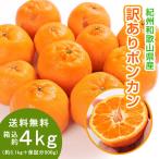 ポンカン 4kg（箱込約4kg）和歌山県産 訳あり・ご家庭用 送料無料（東北・北海道・沖縄県除く）（配達日指定不可）