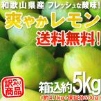 ショッピング文旦 レモン 5kg（箱込約5kg）国産 訳あり・ご家庭用 送料無料（東北・北海道・沖縄県除く）（配達日指定不可）