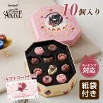 ショッピングリンツ 2026 ゴンチャロフ アンジュジュ F 10個 バレンタイン チョコ カリーヌ プチギフト お菓子 チョコレート 手土産 お返しギフト プレゼント 詰め合わせ