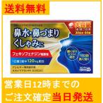 【第2類医薬品】スカイブブロンHI 30日分60錠 花粉などによる 鼻水・鼻づまり・くしゃみ 鼻炎用内服薬 「アレグラ」のジェネリック（後発品） 送料無料