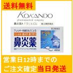 【第2類医薬品】鼻炎薬A「クニヒロ」48錠 送料無料