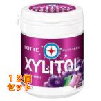  Lotte жевательная резинка с ксилитом серый p Family бутылка 133g×12 шт 