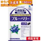 【ゆうパケット送料込み】ブルーベリー お徳用 60粒