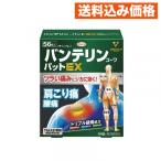 【第2類医薬品】バンテリンコーワパットＥＸ　５６枚入 4987067264308
