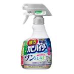 ショッピングハイター 花王 強力カビハイター ツンとしないタイプ ハンディスプレー 本体 360mL