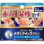 その他皮膚の薬