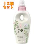 ショッピングさらさ さらさ 柔軟剤 本体 530ml×12個