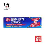 痔の薬 痔軟膏 ジ軟膏S iQ 25g 指定第2類医薬品 中央製薬 痔疾用薬 痔の痛み・はれ・かゆみに オシリアと同じ成分配合 痔の薬