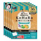 肩こり 腰痛 薬 貼り薬 ★パスタイムFXこはる 40枚×5個セット  第2類医薬品 祐徳薬品工業