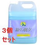 ショッピング緑の魔女 《セット販売》 ミマスクリ−ン   緑の魔女 トイレ 業務用サイズ (5L)×3個セット  地球にやさしい 便器 タイル 中性タイプ トイレ用洗剤