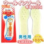 Yahoo! Yahoo!ショッピング(ヤフー ショッピング)is-fit M098 男性用 ウールインソール 中敷き ウール（羊毛）100％ 通気性 履き心地UP 保温性 イズ・フィット