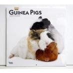 �A��2022�N�J�����_�[�u�������b�g�v