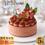 ���� ���艿�i �N���X�}�X�P�[�L 2026 �K�g�[�V���R�� 5�� �`���R���[�g �`���R �P�[�L 4�`6�l�p �Ⓚ �������� ���� �l�C�P�[�L����  x21005