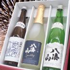 八海山 日本酒 セット 