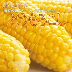 とうもろこし 10kg 24〜26本前後 朝採り・新潟産 予約(一部除き クール便送料無料)