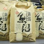 ¡Ú¿·ÊÆÍ½Ìó¡ÛÊÆ 2kg µû¾Â»º ¥³¥·¥Ò¥«¥ê ÇòÊÆ¡ÚÆÃÊ̺ÏÇÝÊÆ¡Û2025,ÎáÏÂ7ǯ