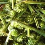 [ есть перевод ]... дикоросы ko мусор 1000g передний и задний (до и после) дешевый ... скорейший предварительный заказ ... час распродажа большой маленький маленький длина не комплект смешивание 78816