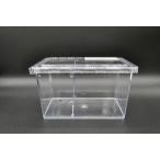  прозрачный ползун стандарт размер 