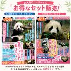 * предварительный заказ прием * день . Panda i 1 &2. комплект Panda день .gen большой Ueno зоопарк автомобиль o автомобиль o Ray Ray Tintin 