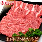 ギフト 肉 和牛 焼肉 300g 赤身 カルビ 肉 | バーベキュー 牛肉 国産 ギフト