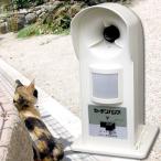 猫よけ 対策 超音波 電池式 ガーデ