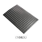 ハクビシン 侵入禁刺 1箱（16枚入） 