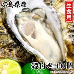 広島牡蠣 生食用 殻付き10個 K11タイプ 広島かき 取り寄せ