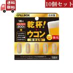 10個セット ピルボックスジャパン PILLBOX JAPAN 乾杯 ウコン GOLD 5粒