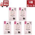 5個セット　追跡ありメール便ランドリン　車用フレグランス　クラシックフィオーレの香り 【代引不可】