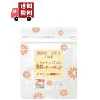 第3類医薬品】日本臓器製薬 マスチ�