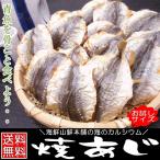 焼きあじ おつまみ珍味 お試しサイズ アジの燻製 干物