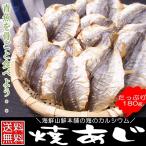 Yahoo! Yahoo!ショッピング(ヤフー ショッピング)酒の肴 珍味 焼きあじ おつまみ たっぷりサイズ アジの燻製 干物 乾き物