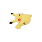 Pokemon ポケモンセンターオリジナル もっちりぬいぐるみ Pokemon