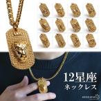 (タイプ C - ふたご座、50cm) 