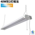 LED лампа дневного света прибор в одном корпусе 40W форма 2 лампа соответствует лампа цвет днем белый цвет днем свет цвет беж скользящий 36W 4000lm тянуть переключатель 4 шт. до объединенный возможность завод 