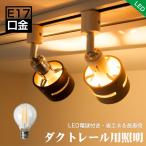 【電球付き】ダクトレール用 スポットライト e17口金 25W形相当 LED電球　G45 クリア電球 ライティングレール ダクトレール照明