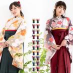 袴4点セット 華やか B 袴 卒業式 レディース セット 袴セット 女性 二尺袖着物 (rg)