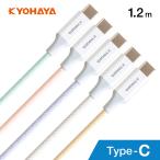 USB Type-C ケーブル カラフル
