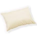 Travel Pillow with 700&amp;#xA0;Fill Power Goose Down