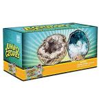 Break Open 2 Jumbo Geodes - These Large Rocks Have Crystals Inside! by Disc