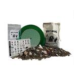Emerald Bag of Rocks, Gems, and Minerals Mining Rough Activity Dig Kit 並行輸入品